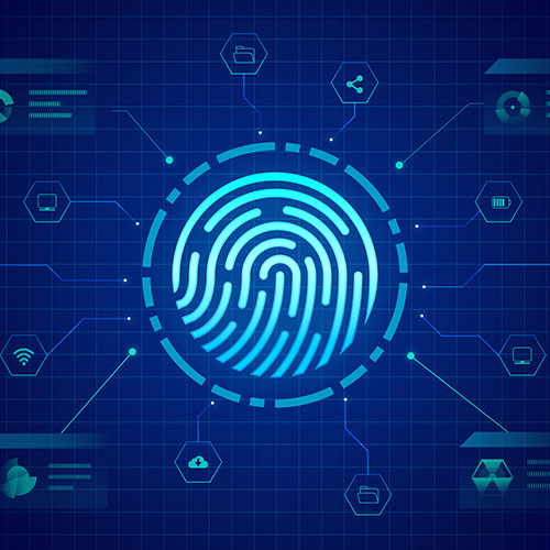 فلسفة تتمحور حول المستخدم